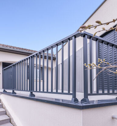 porte d'entrée aluminium 80 modèle merlin pleine